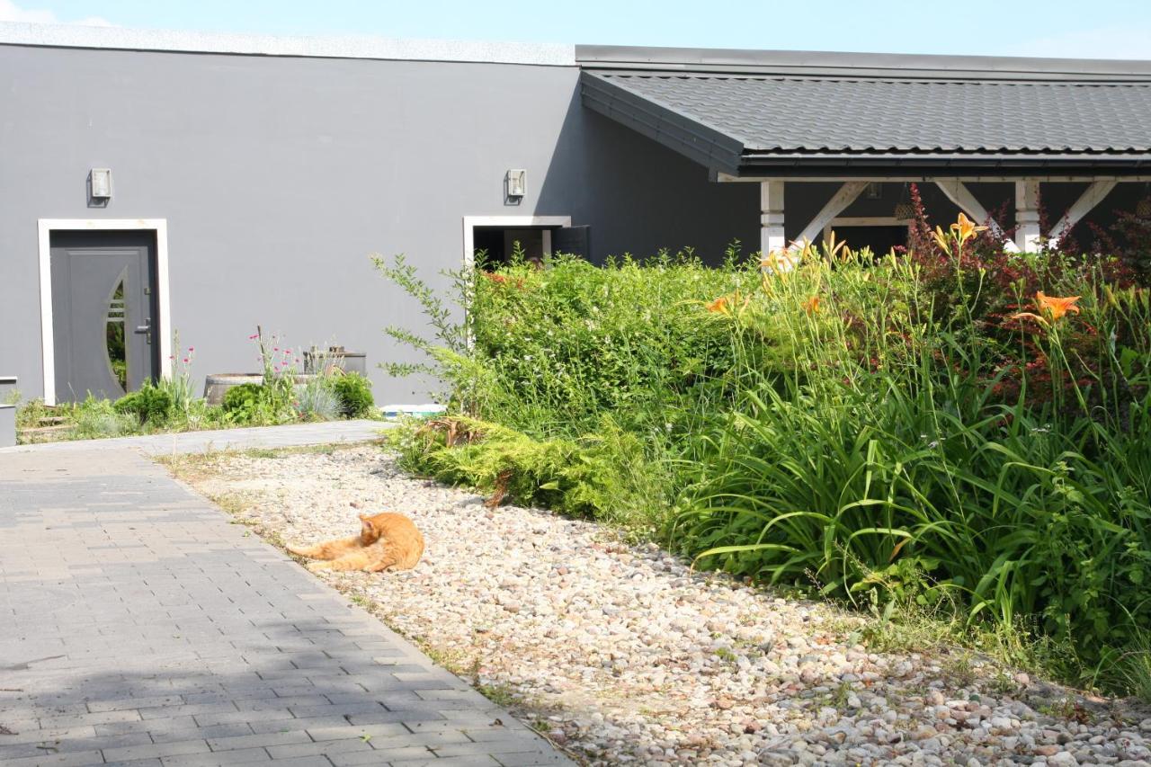 Apartament Dla Pary Stara Szkola Weremowice ภายนอก รูปภาพ
