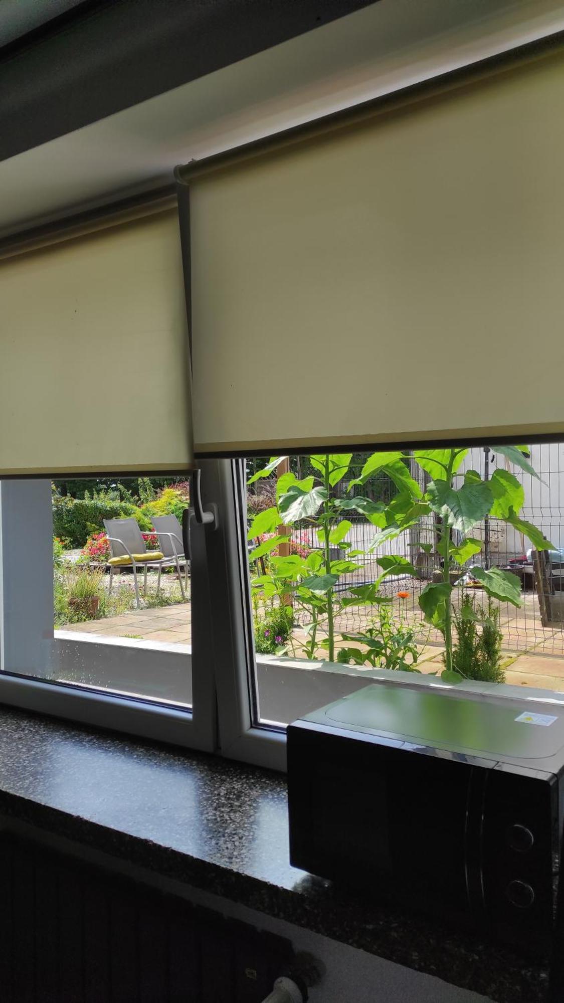 Apartament Dla Pary Stara Szkola Weremowice ภายนอก รูปภาพ